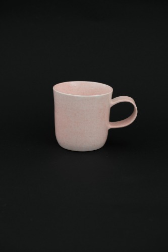 N.T.S mug cup